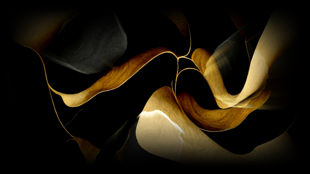 Ing. Jan Hromádka CSc.